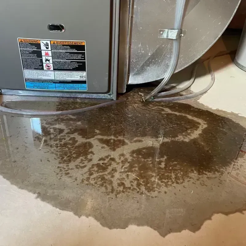 Appliance Leak Cleanup in Clarksville, IN